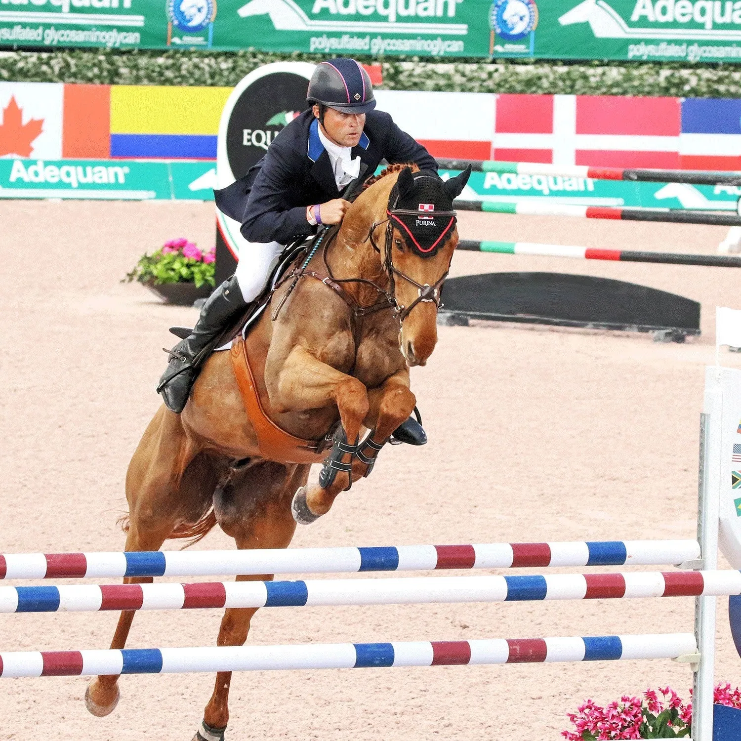 Boyd Martin Stadium Tendon Jump Boot with ARTi-LAGE Technology